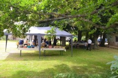 fete-tilleuls-2024-36