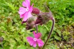 P1130726