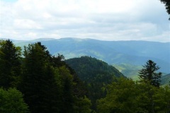 P1130727