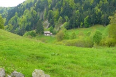 P1130733